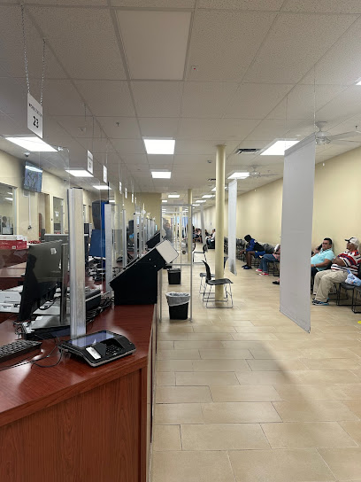 DMV licencia Conducir