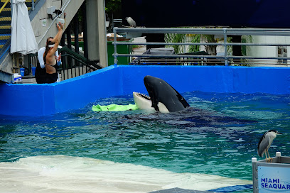 Miami Seaquarium